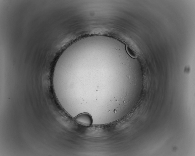 X0000101150354200807111011