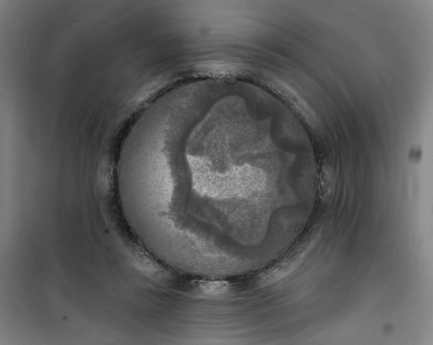 X0000101150355200807111011