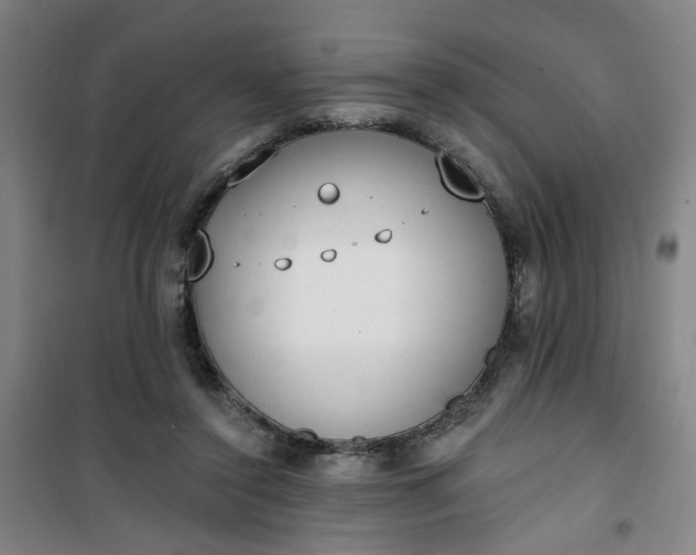 X0000101150356200807111011