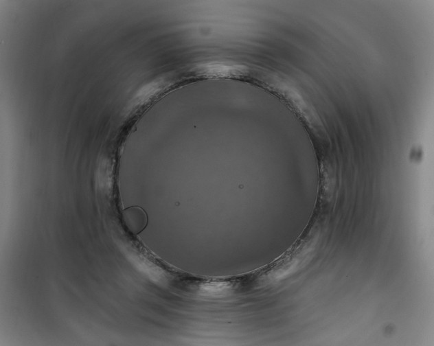 X0000101150357200807111011