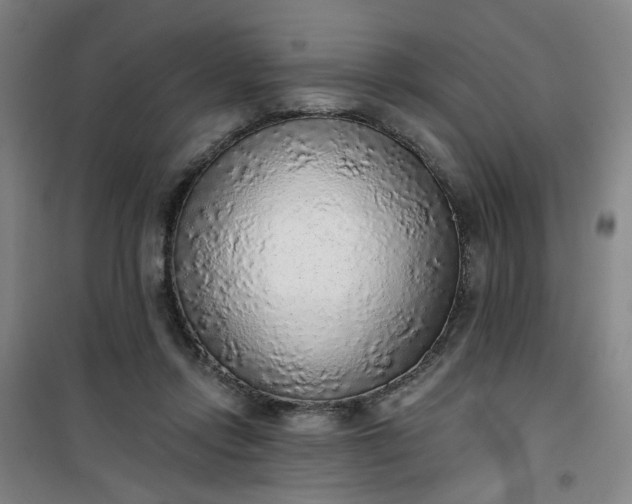 X0000101150358200807111011