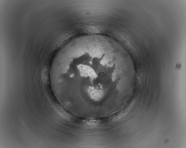 X0000101150359200807111011