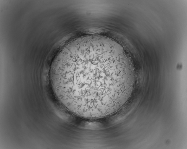 X0000101150360200807111011