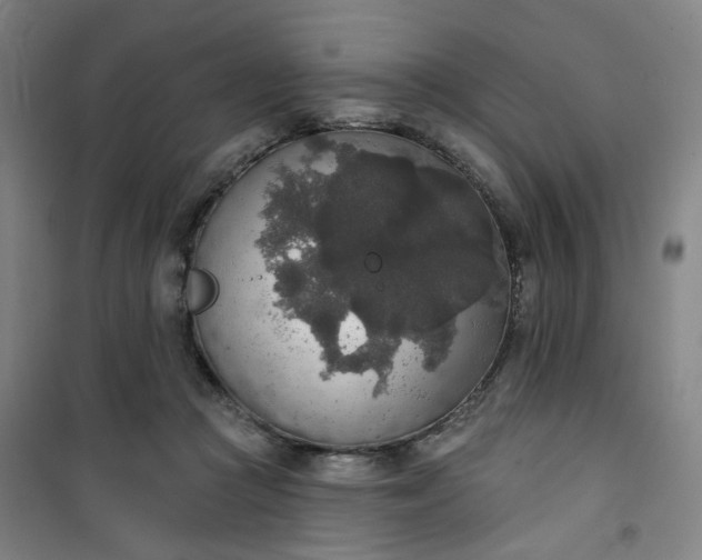 X0000101150361200807111011