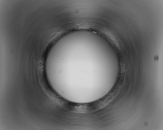 X0000101150362200807111011