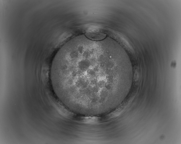 X0000101150363200807111011