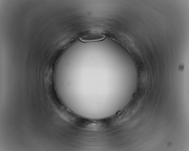 X0000101150364200807111011