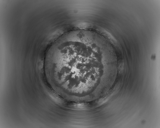 X0000101150365200807111011