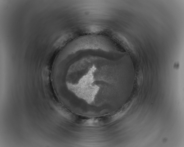 X0000101150366200807111011