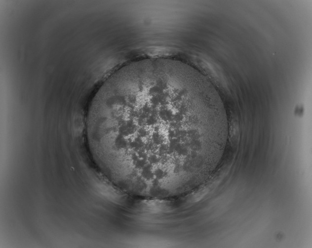 X0000101150367200807111011