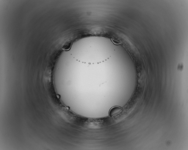 X0000101150368200807111011