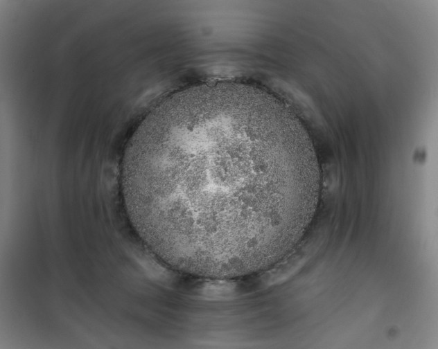 X0000101150369200807111011