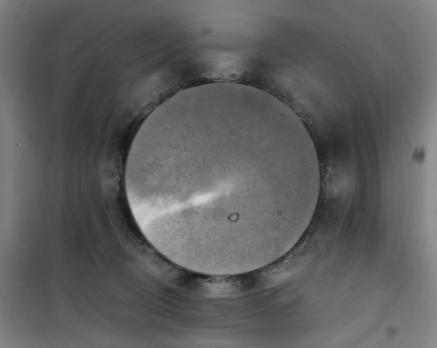 X0000101150370200807111011