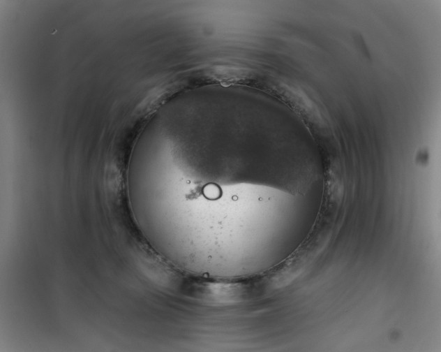 X0000101150371200807111011