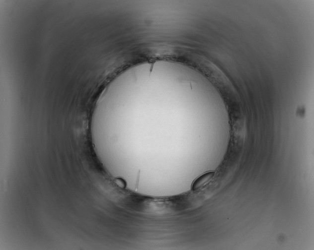 X0000101150372200807111011