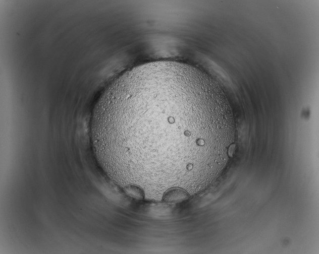 X0000101150373200807111011