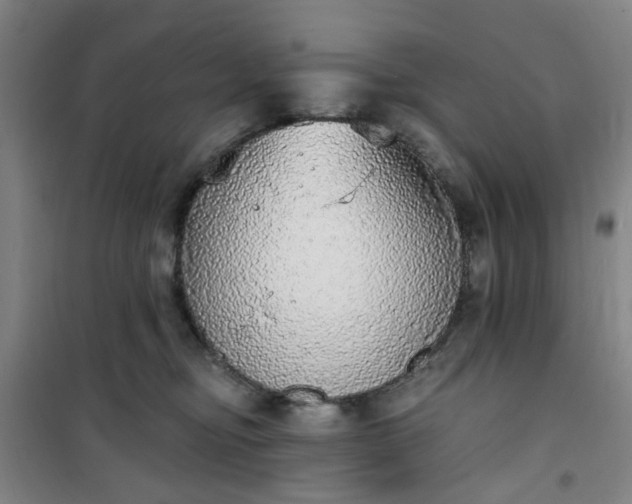 X0000101150374200807111011