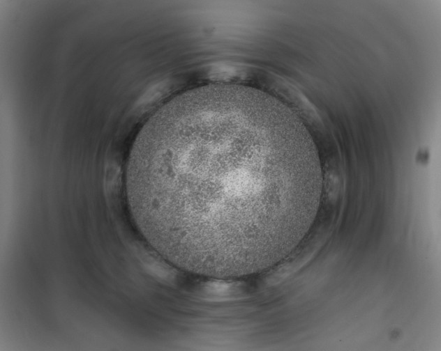 X0000101150375200807111011