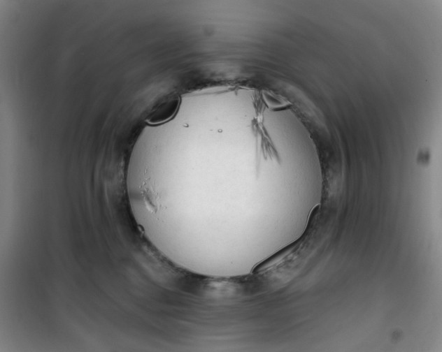 X0000101150376200807111011