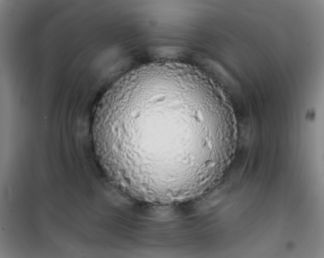 X0000101150377200807111011