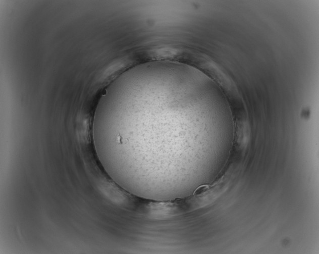 X0000101150378200807111011