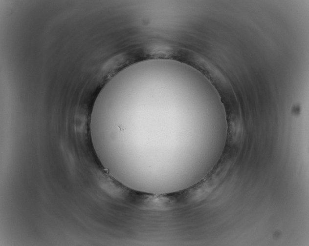 X0000101150379200807111011