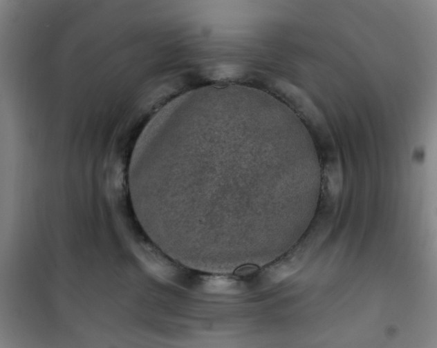 X0000101150380200807111011