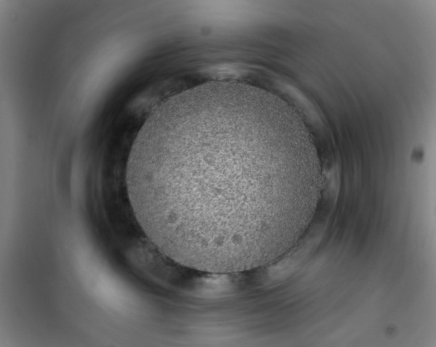 X0000101150381200807111011