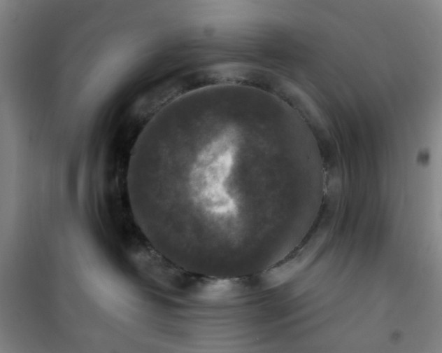 X0000101150382200807111011