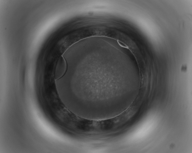 X0000101150383200807111011