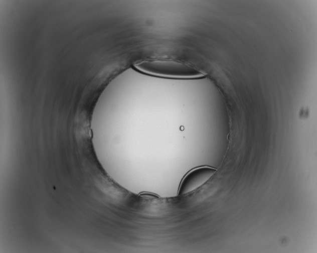 X0000101150384200807111011