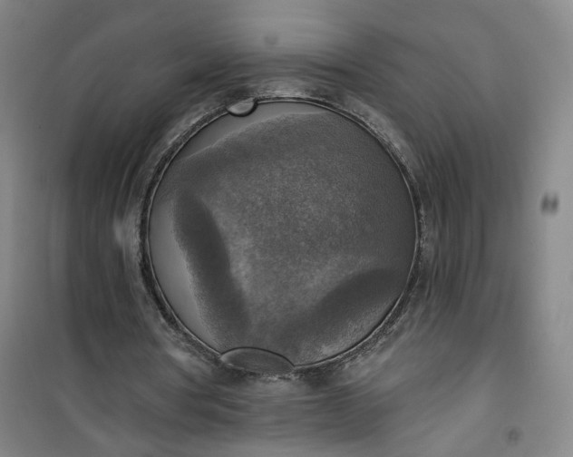 X0000101150386200807111010