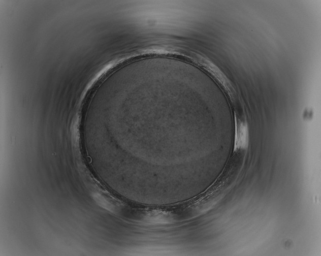 X0000101150387200807111010