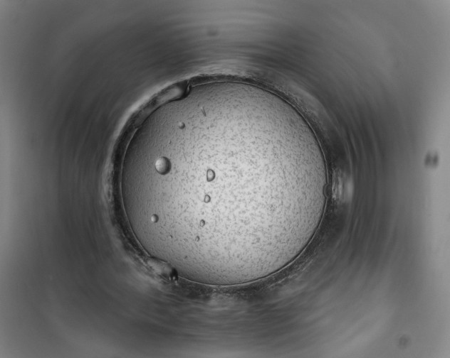 X0000101150388200807111010