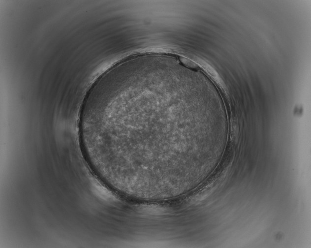 X0000101150389200807111010