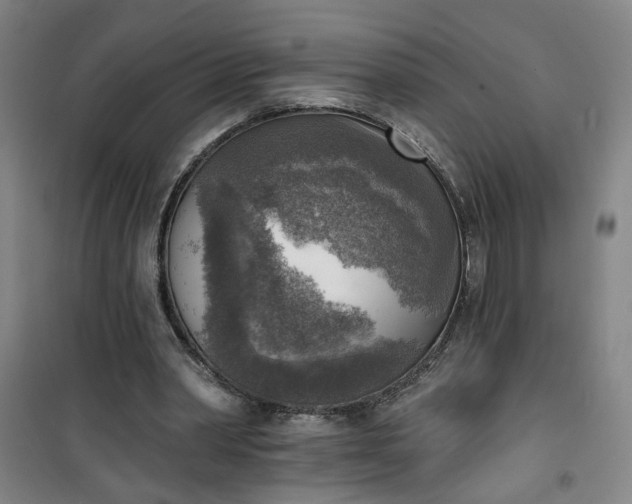 X0000101150390200807111010