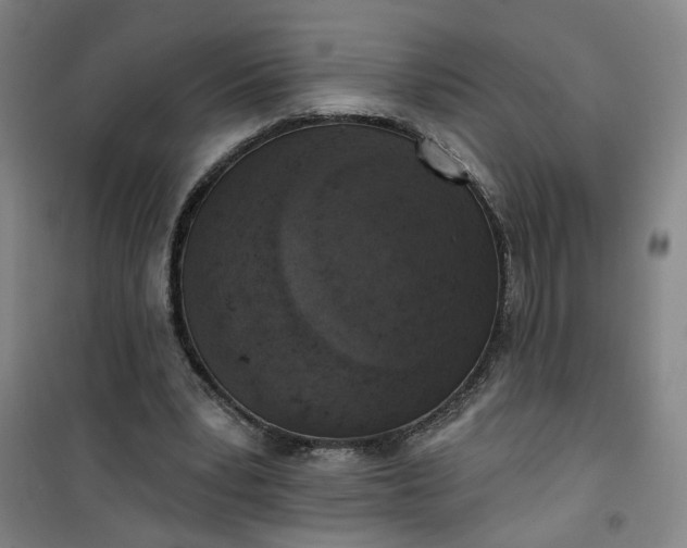 X0000101150391200807111010