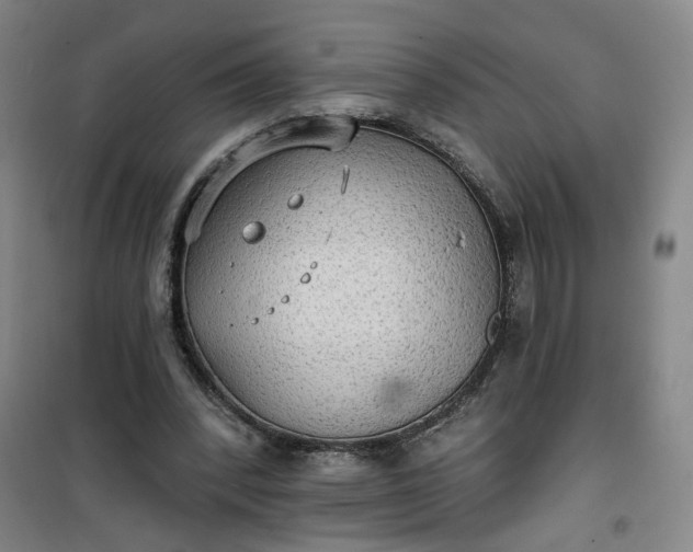 X0000101150392200807111010