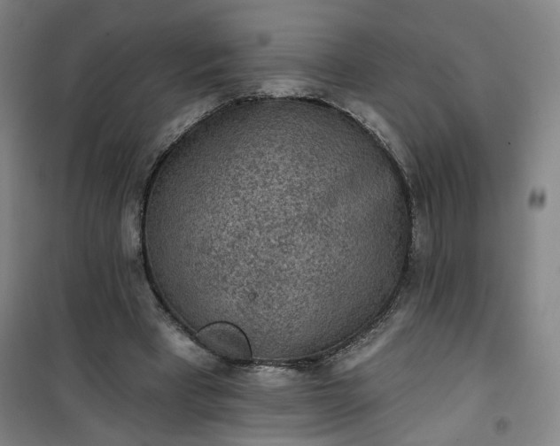 X0000101150393200807111010