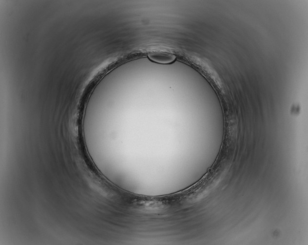 X0000101150395200807111010