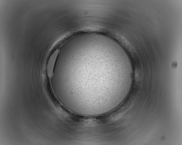 X0000101150396200807111010