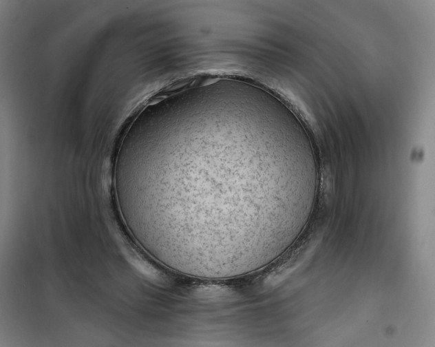 X0000101150397200807111010