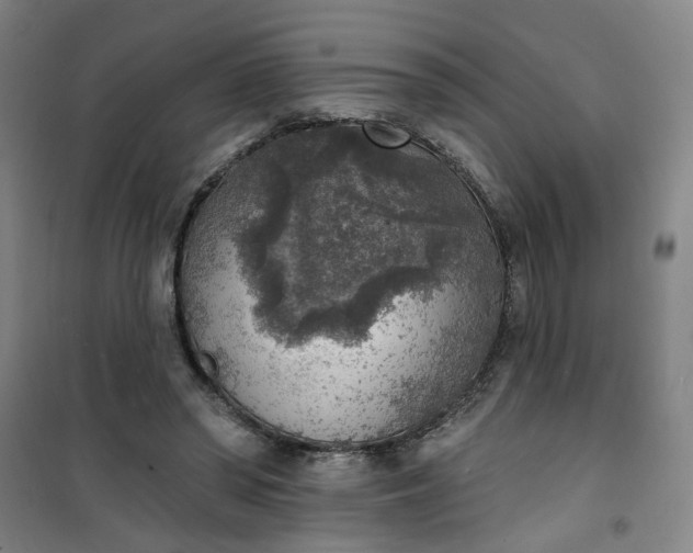 X0000101150398200807111010