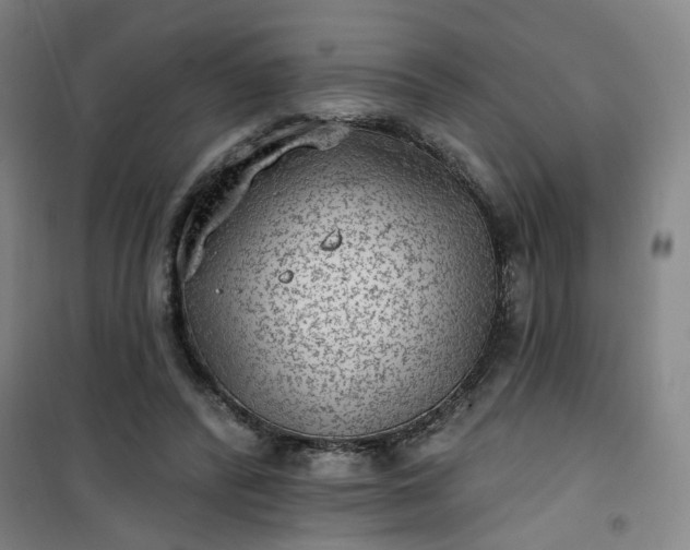 X0000101150400200807111010