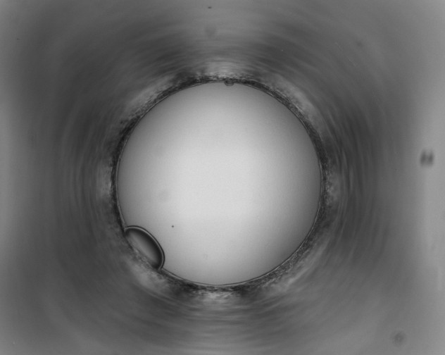 X0000101150401200807111010