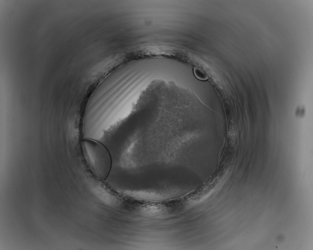 X0000101150402200807111010