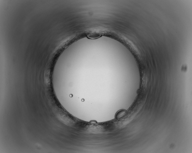 X0000101150403200807111010