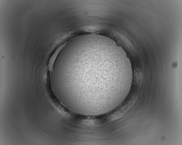 X0000101150404200807111010