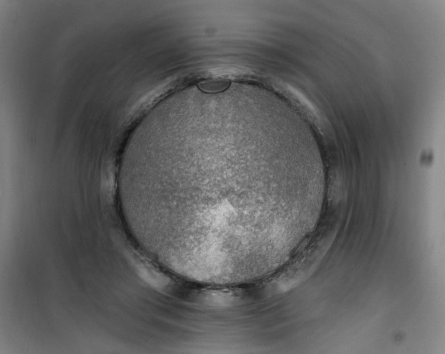 X0000101150405200807111010