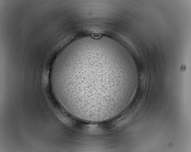 X0000101150406200807111010